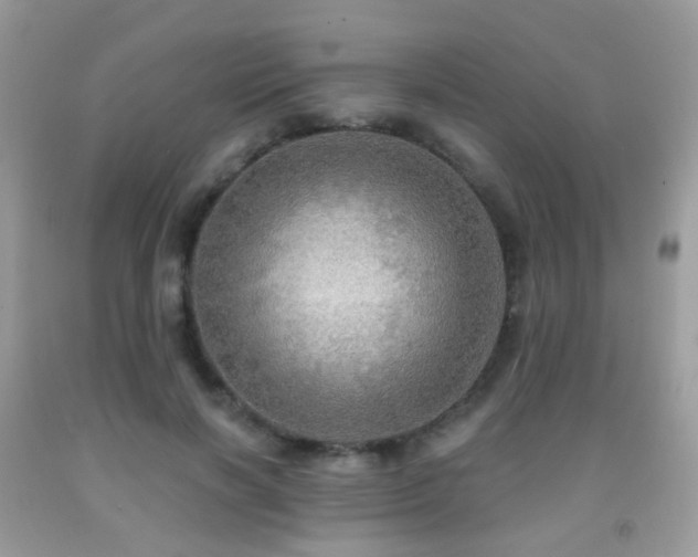 X0000091950646200709061241