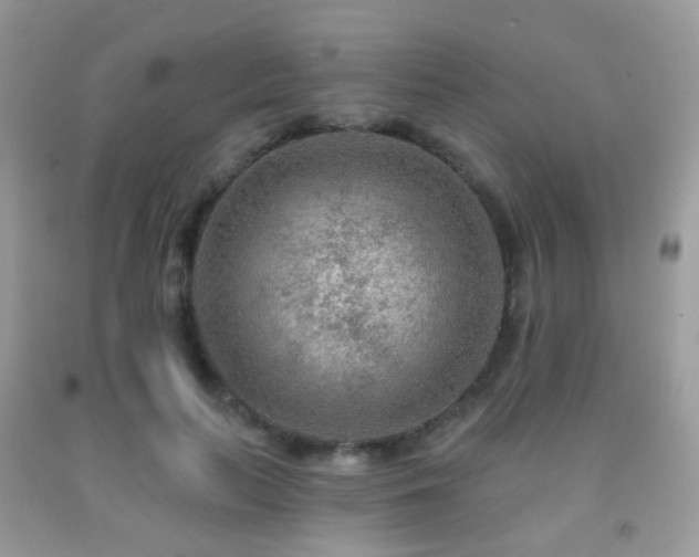 X0000091950647200709061241
