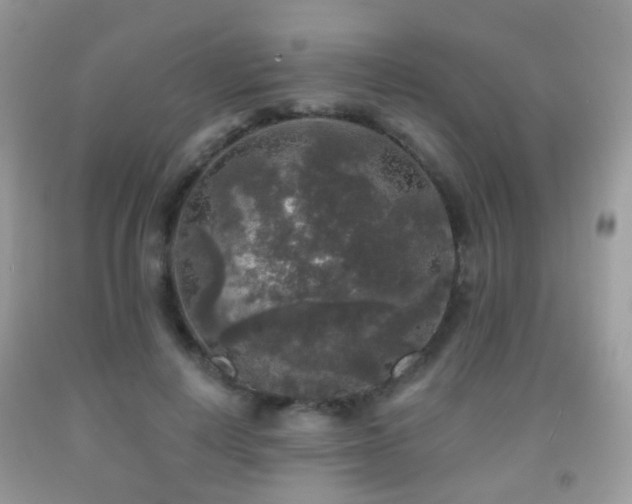 X0000091950648200709061241