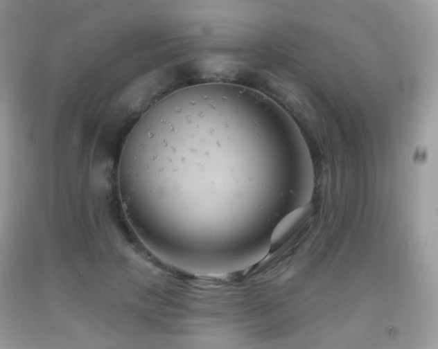 X0000091950649200709061241
