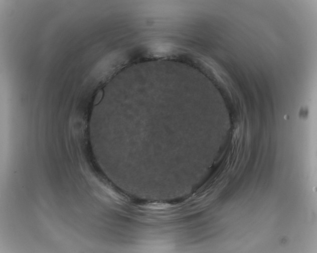 X0000091950653200709061241