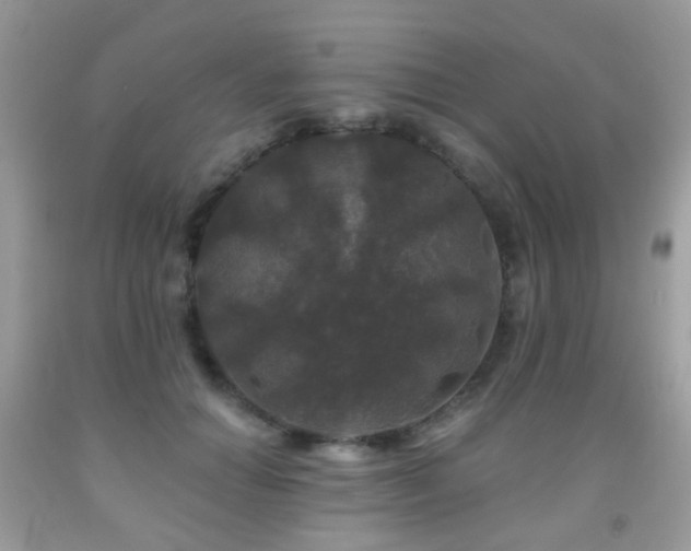 X0000091950654200709061241