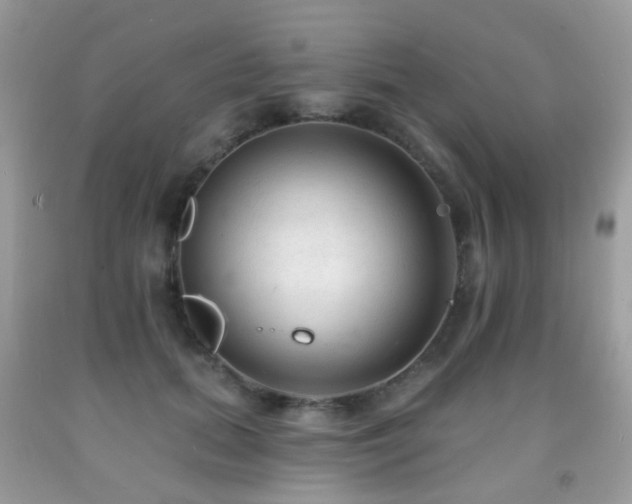 X0000091950655200709061241
