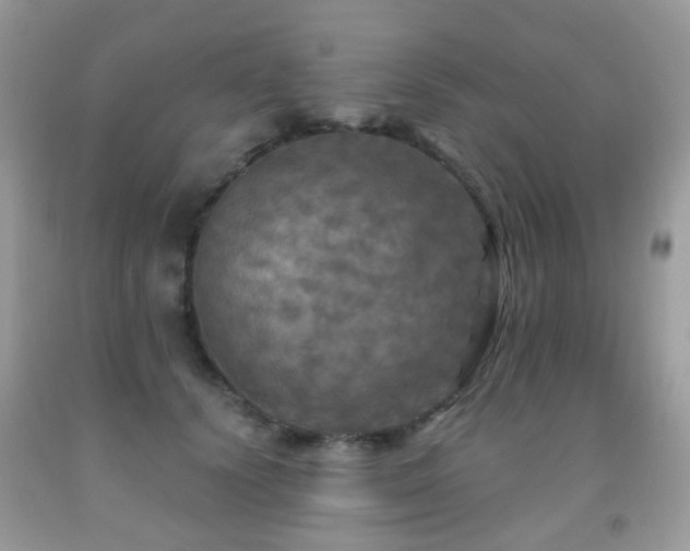 X0000091950656200709061241