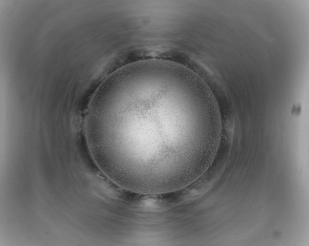 X0000091950657200709061241