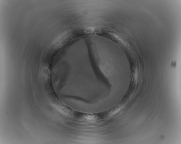 X0000091950659200709061241