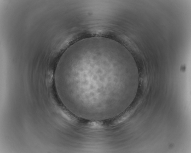 X0000091950660200709061241