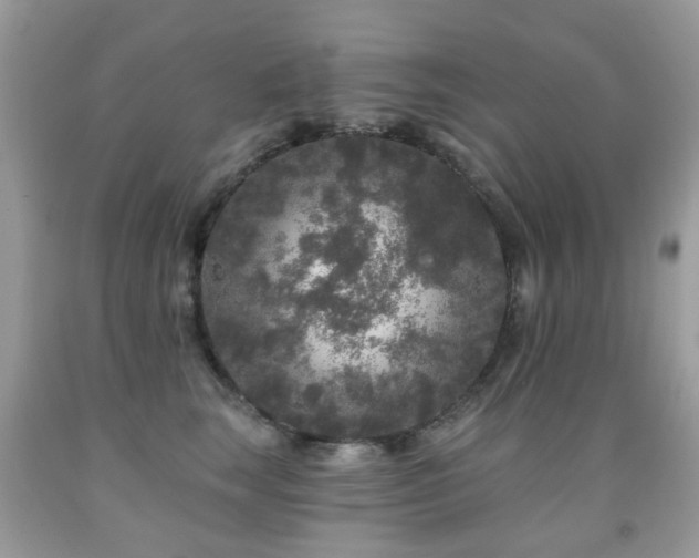 X0000091950663200709061241
