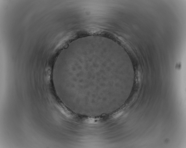 X0000091950664200709061241