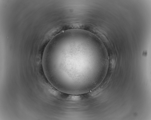 X0000091950665200709061241