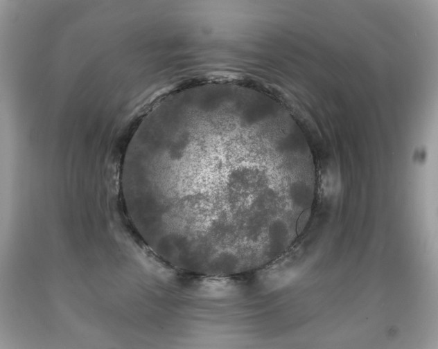 X0000091950666200709061241