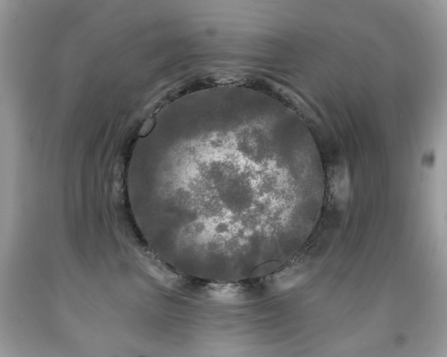 X0000091950667200709061241
