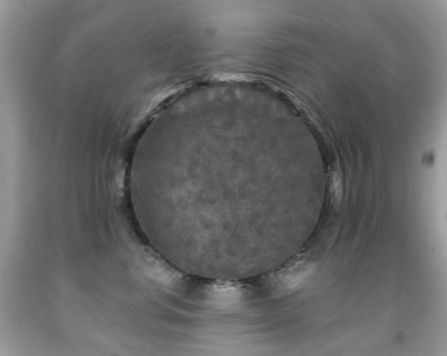 X0000091950668200709061241