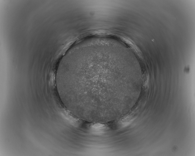 X0000091950669200709061241