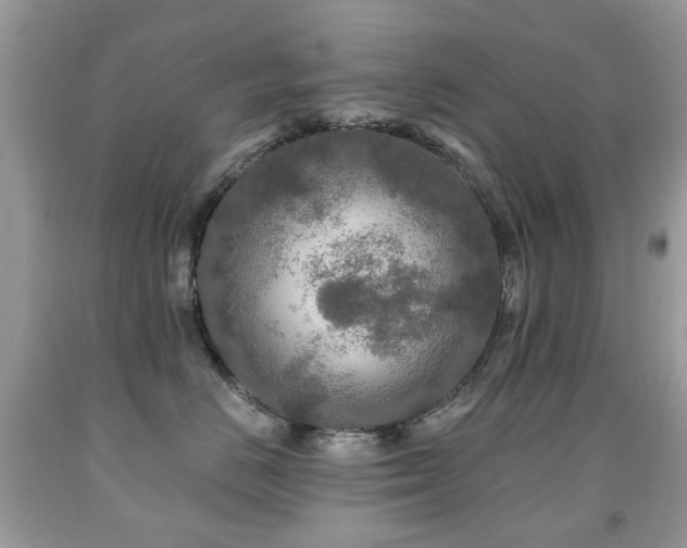 X0000091950670200709061241