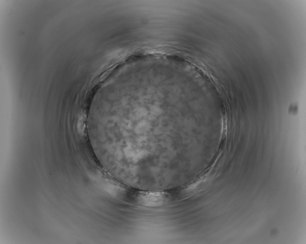 X0000091950671200709061241