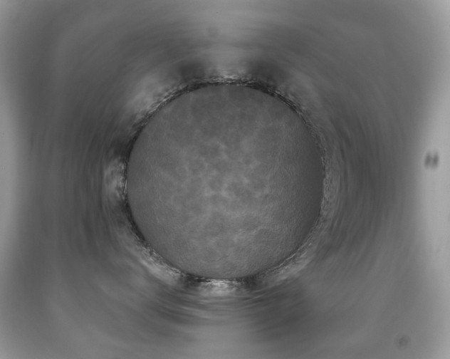 X0000091950672200709061241