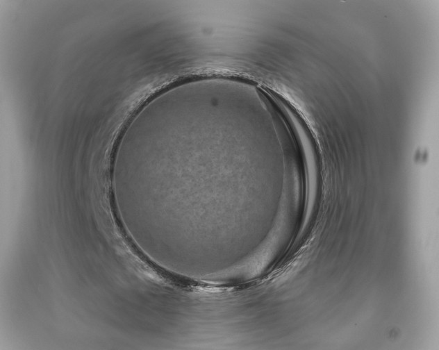 X0000091950673200709061241
