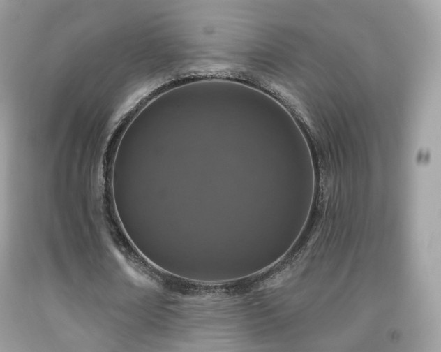 X0000091950674200709061241