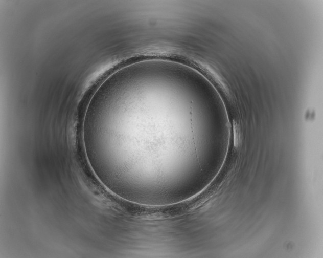 X0000091950675200709061241