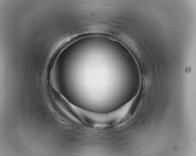X0000091950676200709061241