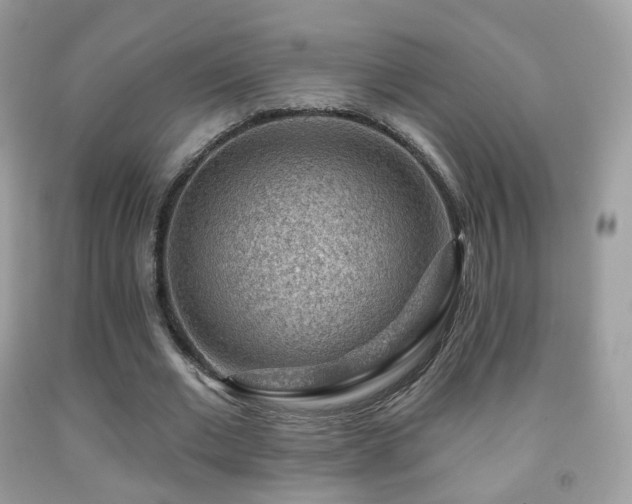 X0000091950677200709061241