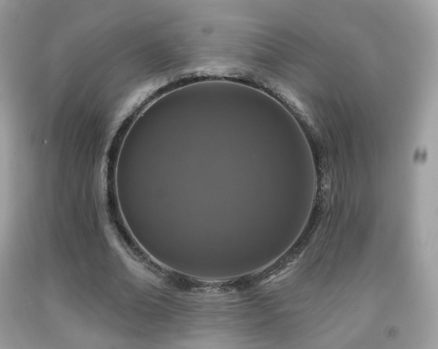 X0000091950678200709061241