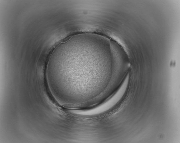 X0000091950681200709061241