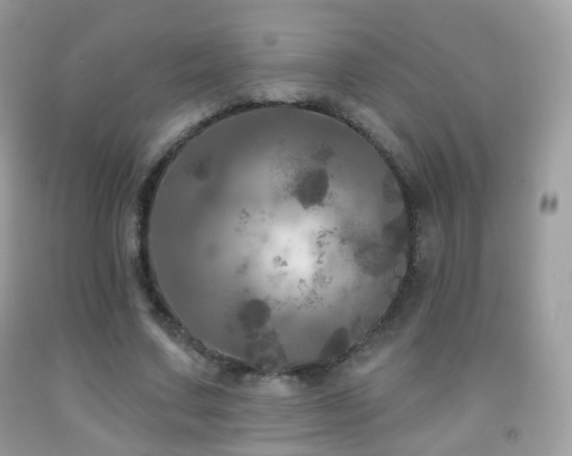 X0000091950683200709061241