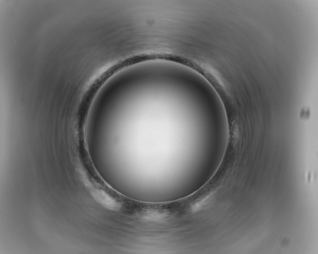 X0000091950684200709061241