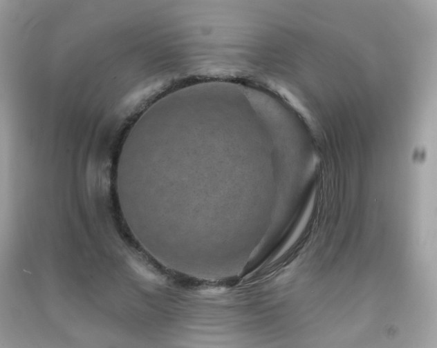 X0000091950685200709061241