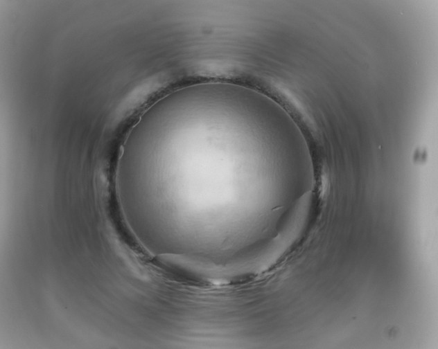 X0000091950688200709061241