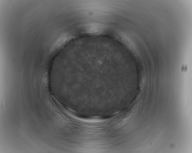 X0000091950689200709061240
