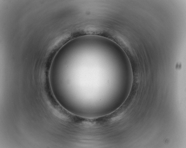 X0000091950690200709061240