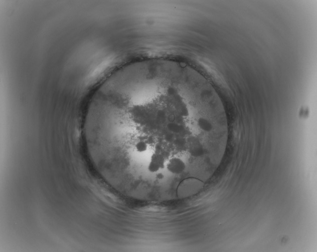 X0000091950691200709061240