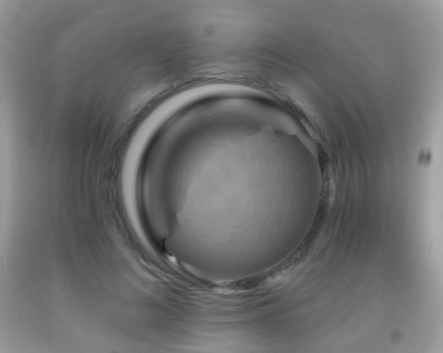 X0000091950692200709061240