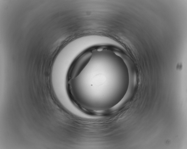 X0000091950693200709061240
