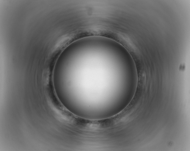 X0000091950694200709061240