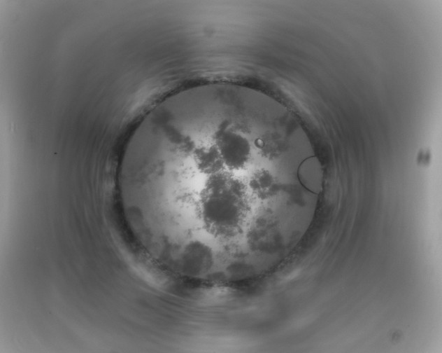 X0000091950695200709061240