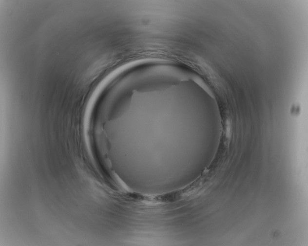 X0000091950696200709061240