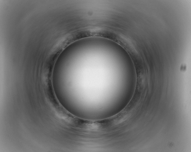 X0000091950698200709061240
