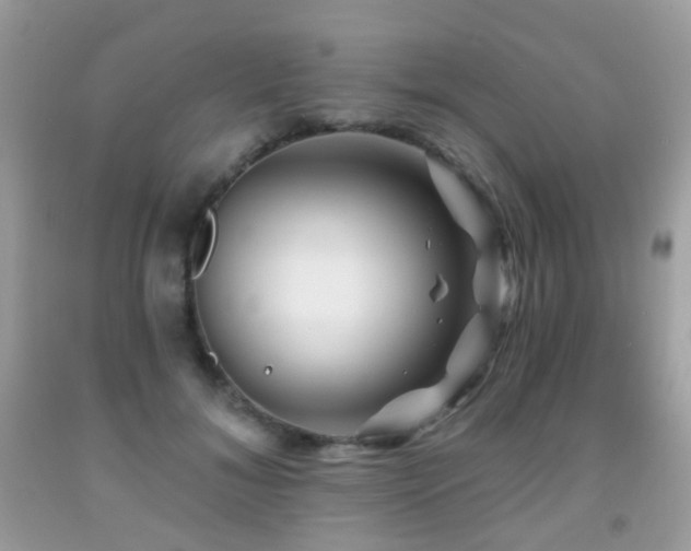 X0000091950700200709061240