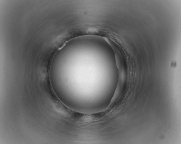 X0000091950704200709061240
