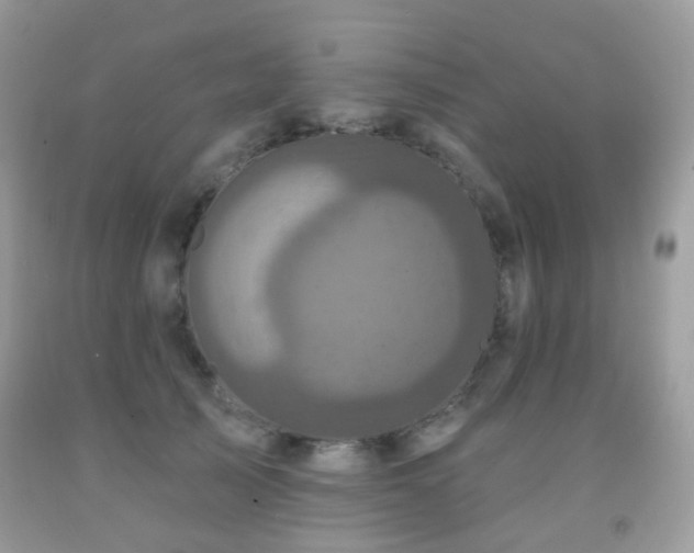 X0000091950705200709061240