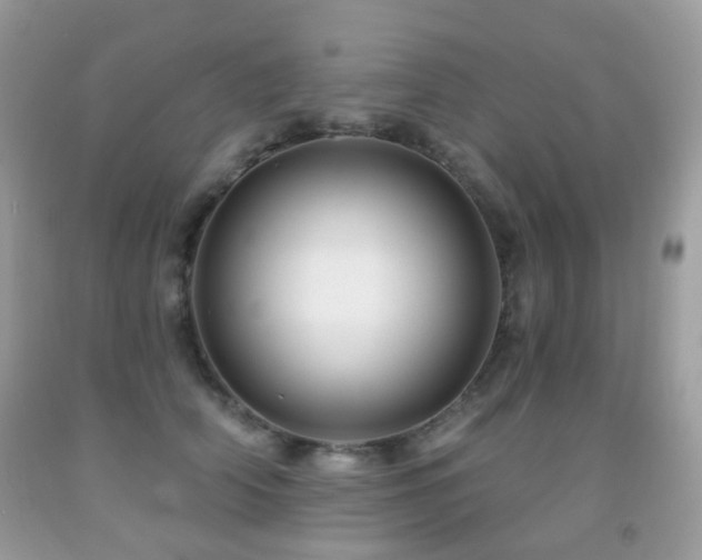 X0000091950706200709061240