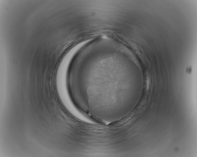 X0000091950708200709061240