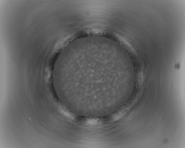 X0000091950709200709061240