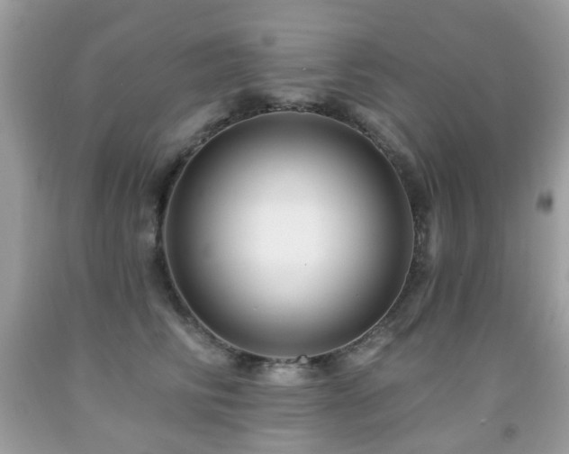 X0000091950710200709061240
