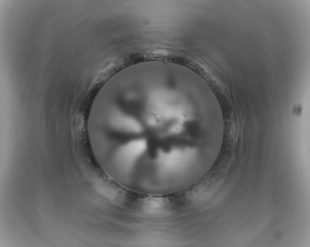 X0000091950711200709061240