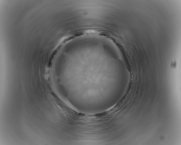 X0000091950712200709061240